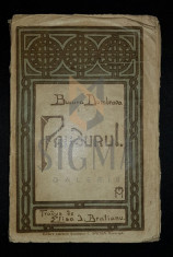 DUMBRAVA BUCURA - PANDURUL (Traducere de ELISA I. BRATIANU!), 1912, Bucuresti foto