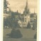 4886 - SINAIA, Prahova, PELES Castle, Romania - old postcard - unused