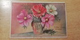 D11 A 69 - Felicitare de colectie - anii 1930