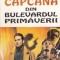 Ion Ochinciuc - Capcana din bulevardul Primăverii
