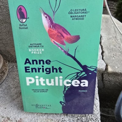 Pitulicea - Anne Enright foto
