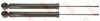 TRW JGT1104T TRW TWIN amortizor