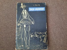 Calea Vacaresti - I. Peltz RF16/2