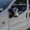 oglinzi cromate renaut trafic la set
