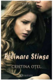 Felinare stinse | Cristina Otel, 2020, Quantum Publishers