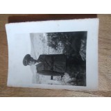 Fotografii Tematica Militari