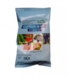 Fungicid pe baza de cupru Cupridin 1 kg, Solarex