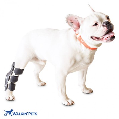 Walkinpets - Stabilizator pentru tendoane și artuculații (picioarele foto