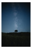 Peisaj Nocturn cu Stele Natură, 26 x 39 cm, CMCLASS