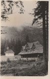1941 Casa de adapost Lacul Sf. Ana, Ilustrata turistica necirculata, editor Cluj