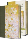 Biblia Reina Valera 1960 Letra Grande. Piel Verde Con Flores, Tama