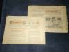 5 ZIARE PIONIERUL 1952
