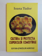 Ioana Tudor - Cultura ?i protec?ia ciupercilor comestibile foto