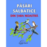 Pasari salbatice din tara noastra. Contine 48 de jetoane