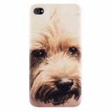 Husa silicon pentru Apple Iphone 4 / 4S, Love Pup