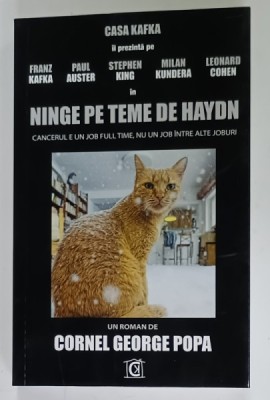 NINGE PE TEME DE HAYDN , roman de CORNEL GEORGE POPA , 2025 foto
