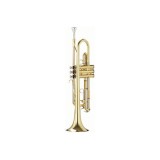 Cumpara ieftin Trompeta Bb Parrot 6416 L auriu