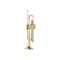 Trompeta Bb Parrot 6416 L auriu