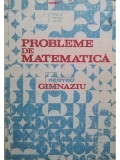 I. Petrica - Probleme de matematica pentru gimnaziu (editia 1985)