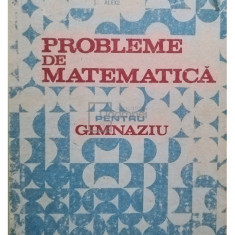 I. Petrica - Probleme de matematica pentru gimnaziu (editia 1985)