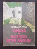 CENUSA * INCEDIU INTRE MASLINI - Grazia Deledda