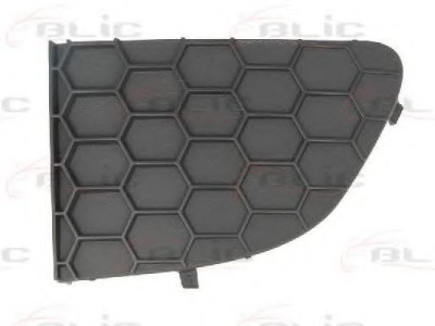 Grila ventilatie, bara protectie FIAT PUNTO (199) (2012 - 2016) BLIC 6502-07-2028993P foto