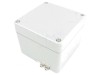 Carcasa Aluminiu ATEX RAYCHEM RPG 100x100x81mm Gri - Universală, Componente Electronice
