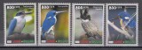 Guineea Bissau 2020 - Pescăruși albaștri, MNH