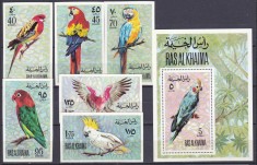 DB1 Fauna Pasari Papagali Ras al Khaima 6 v. Ndt. + SS Dt. MNH foto