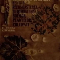 Indrumator pentru recunoasterea si combaterea bolilor plantelor cultivate-E. Docea, V. Severin