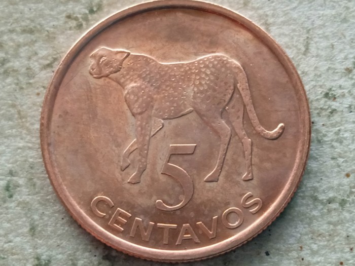 MOZAMBIC-5 CENTAVOS 2006