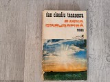 Campia singuratica de Dan Claudiu Tanasescu