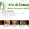 V&acirc;nd canal YouTube 5.000 abonați &ndash; nișă remedii naturiste