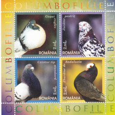 Romania MNH 2005 - Columbofilie Porumbei Pasari - LP 1701