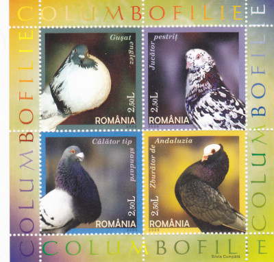 Romania MNH 2005 - Columbofilie Porumbei Pasari - LP 1701 foto