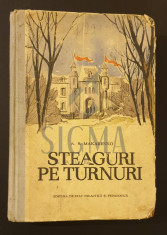 Steaguri pe turnuri - A. S. Makarenko foto