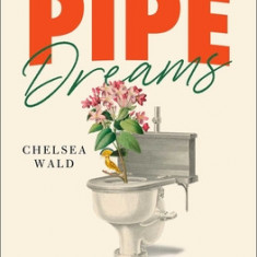 Pipe Dreams: The Urgent Global Quest to Transform the Toilet