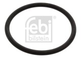 Garnitura Termostat FEBI 17966