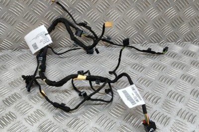 Cablaj ușă st&amp;acirc;nga spate AUDI A8 D4 4H_ 2011 OEM: 4H0971693AE 27752477 foto
