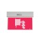 Corp iluminat de emergenta hidrant 0.5W Arelux GO10M HN