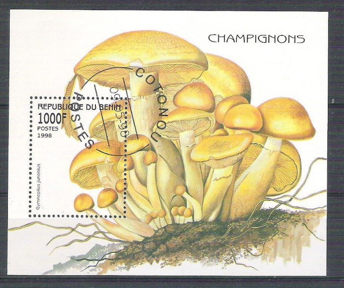 Benin 1998 Mushrooms, perf. sheet, used AB.007