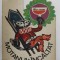 MOTANUL INCALTAT , dupa FRATII GRIMM , ilustratii de DEAK ION , 1966
