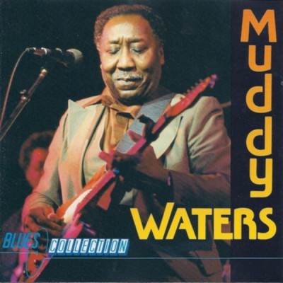CD Muddy Waters &amp;ndash; Muddy Waters (VG+) foto