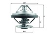 MAHLE TX 158 79 termostat,lichid racire