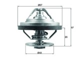 MAHLE TX 158 83 termostat,lichid racire