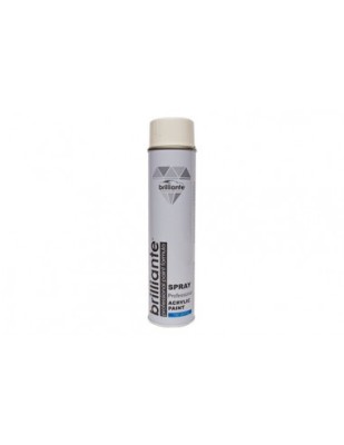 Vopsea spray Acrilica Alb Clasic lucios (RAL 9003) 600ml Alb foto