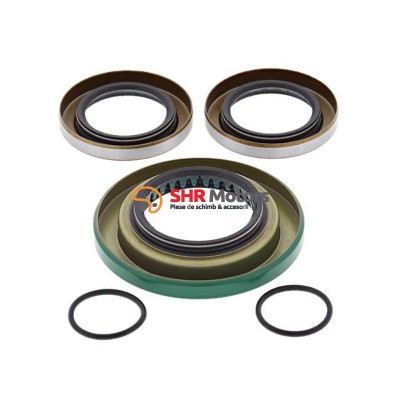 Kit simeringuri grup spate Can-Am BRP All Balls 25-2086-5 foto