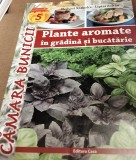 PLANTE AROMATICE IN GRADINA SI BUCATARIE
