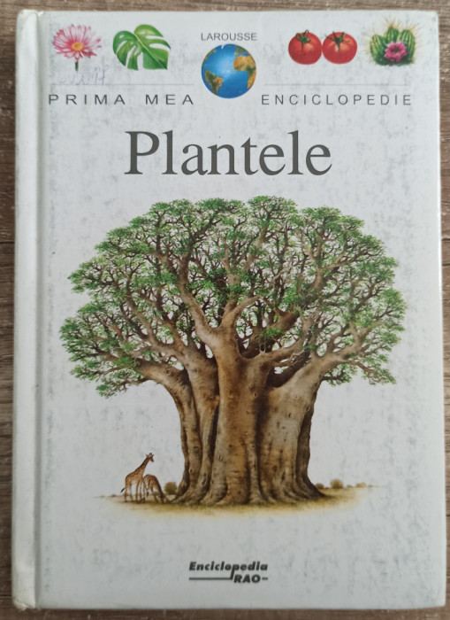 Plantele - Fabienne Fustec// Prima mea Enciclopedie
