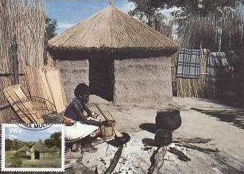 C3598 - Africa de sud-vest carte maxima 1986 foto